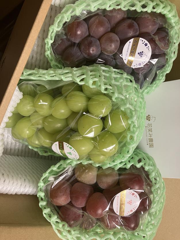 3M-2家 花笑み農園 岡山『ぶどう3種MIX』（シャイン＋厳選2種）約2kg