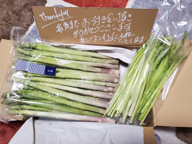 初夏のアスパラガス 20〜25本 ｜ 野菜/アスパラガス 産直アウル 農家