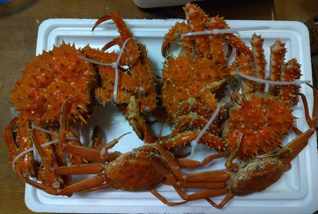 浜茹で毛蟹と活茹でタラバ蟹set 楽天市場】【マラソン期間中店内全品P2倍】 かに 浜茹で冷凍