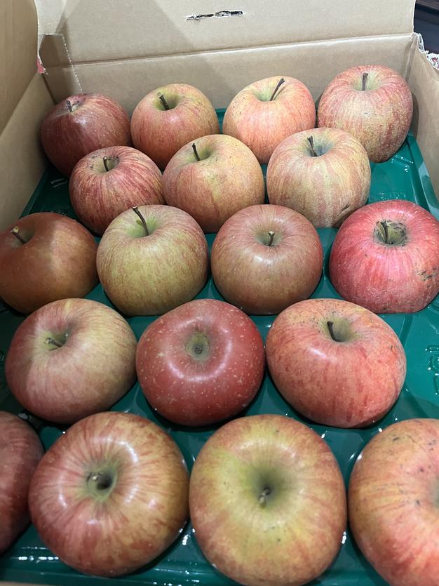 岩手県産減農薬葉とらず三島系サンフジりんご5kg オンライン 岩手県産