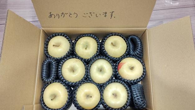 送料無料]特別栽培！見かけることのない超絶希少品種「白ふじ」約3kg箱