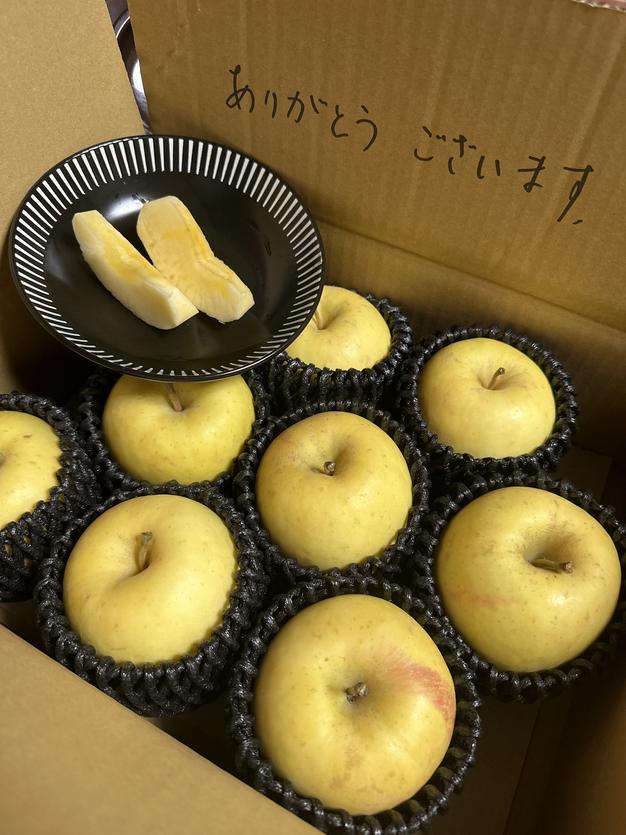 送料無料]特別栽培！見かけることのない超絶希少品種「白ふじ」約3kg箱
