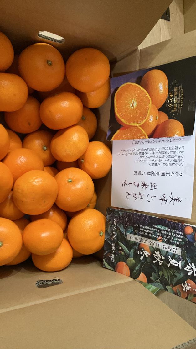 愛媛県産せとか】春の王様🍊登場で〜す🍊（4.5k） | 果物/オレンジ  