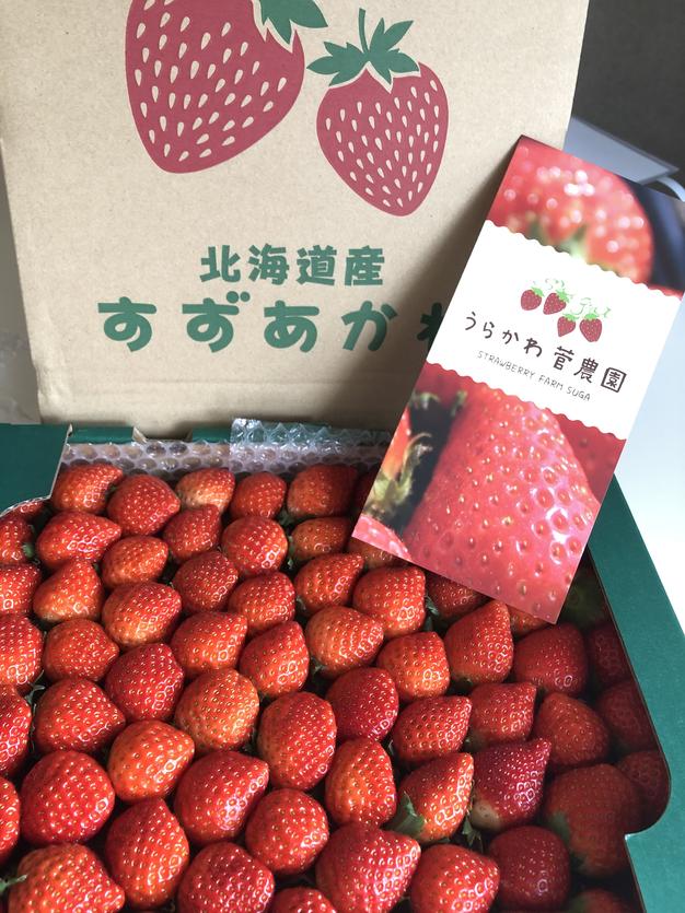 期間限定!わけあり夏イチゴ1kg入り ｜ 果物/いちご 産直アウル 農家