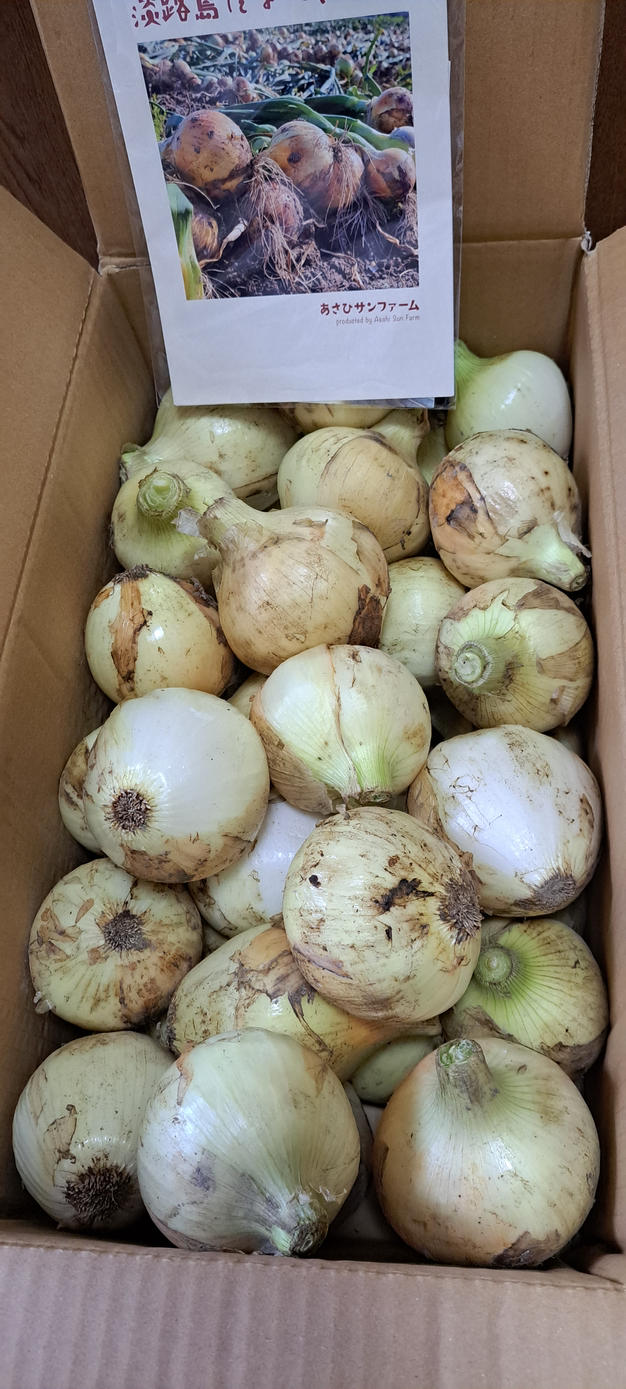 訳あり品】淡路島産新たまねぎ 【10kg】 早生七宝 兵庫県認証食品