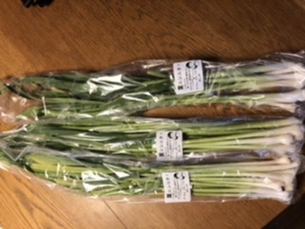 葉にんにく ｜ 野菜/にんにく 産直アウル 農家・漁師など生産者から