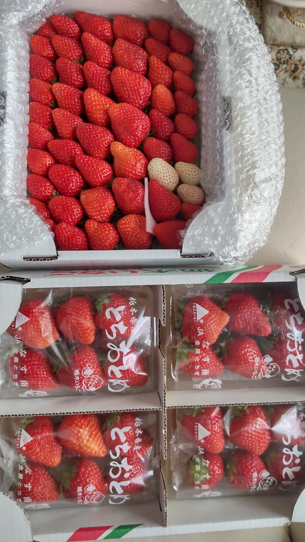 酵素栽培の完熟とちおとめ❤️とトクトクいちごの宝石箱セット ｜ 果物