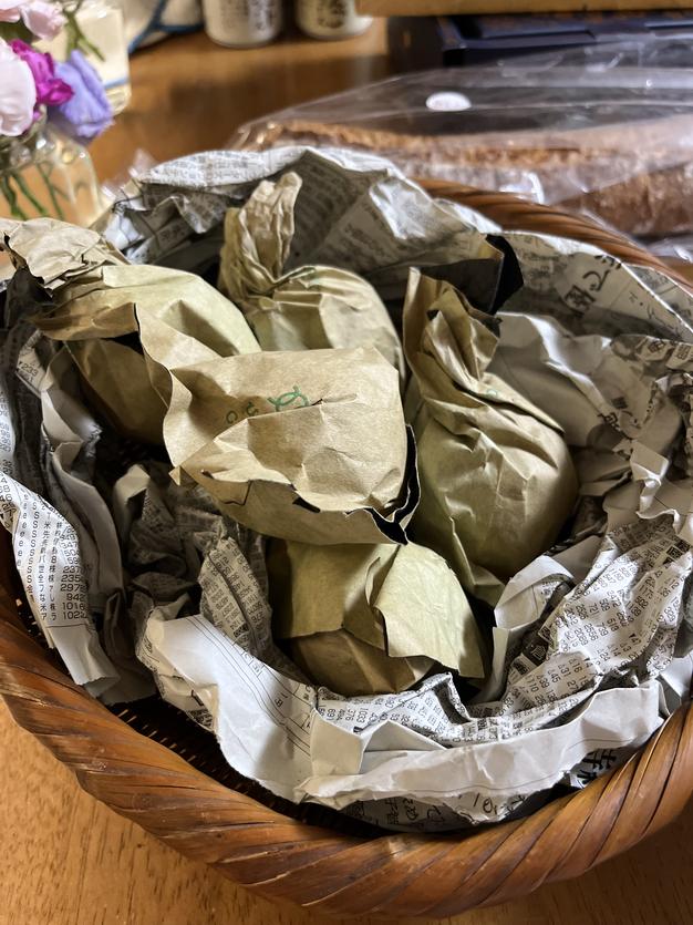 無農薬　びわ　訳あり品　たっぷり9キロ　お買い得品‼️ 無農薬びわ 採れたて 1kgからの通販 by Riiiisa's shop｜ラクマ