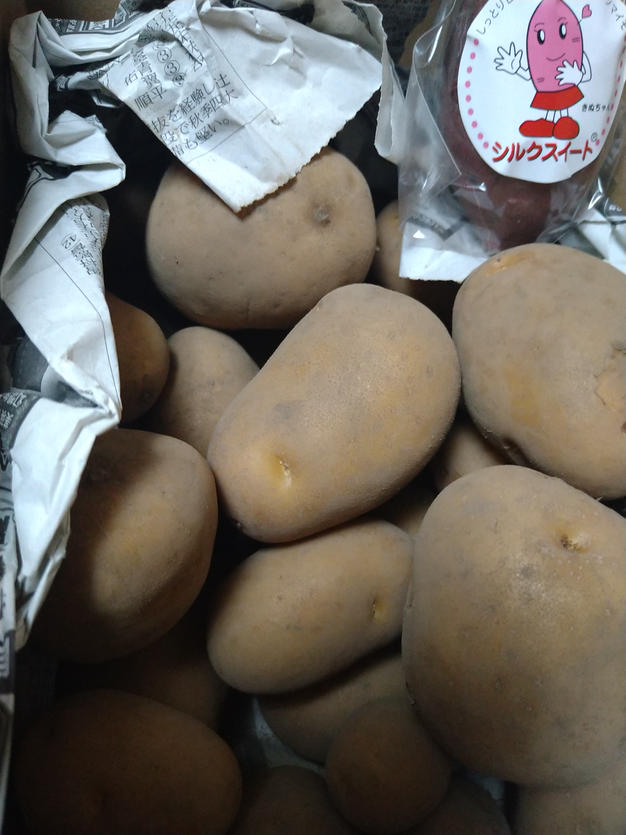 値下げ】味が濃い！希少品種「インカのめざめ」 | 野菜/じゃがいも