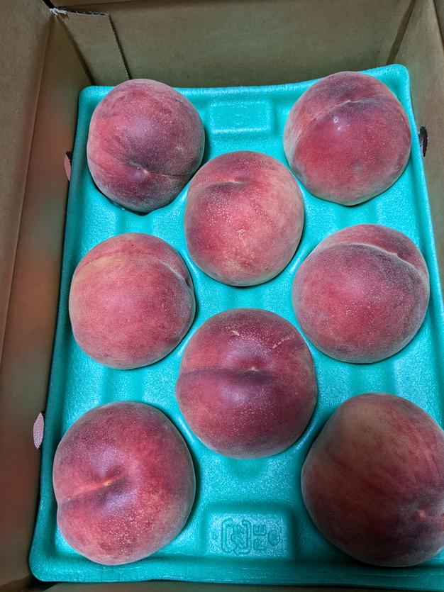 ユメ様専用】新潟県産桃 2kg 農家直送 4箱 菱沼農園の桃