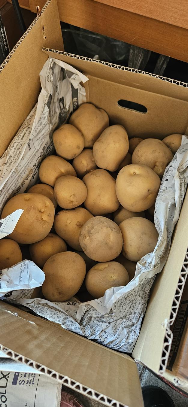 訳あり】茨城県産 じゃがいも(とうや)箱込み9kg+おまけ1kg