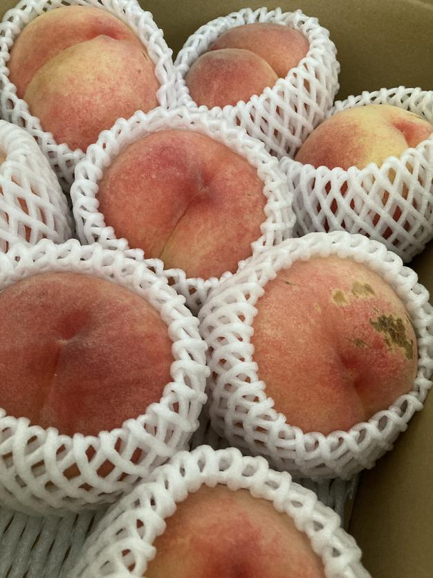 長野県産あかつき桃 キズあり | 果物/もも 産直アウル 農家から直接