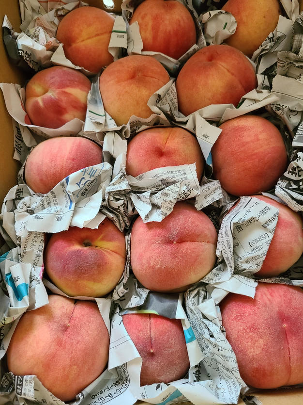 【加工用】あかつき桃　約3.5kg 規格外 加工用 桃 あかつき 約3kg | 果物/もも 産直アウル 農家から直接