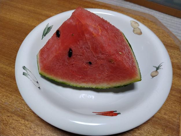 小玉スイカ〈中サイズ1玉〉 シャリっと甘い！あきた夏丸チッチェ