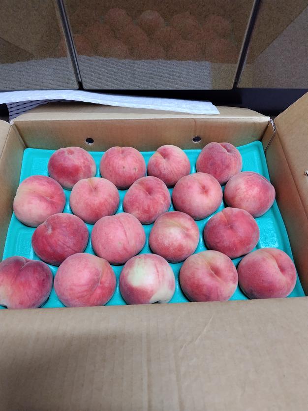 桃「まどか」訳あり5kg ｜ 果物/もも 産直アウル 農家・漁師など生産者