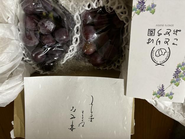 家庭用】果汁たっぷり あづましずく1kg2~3房 ｜ 果物/ぶどう 産直