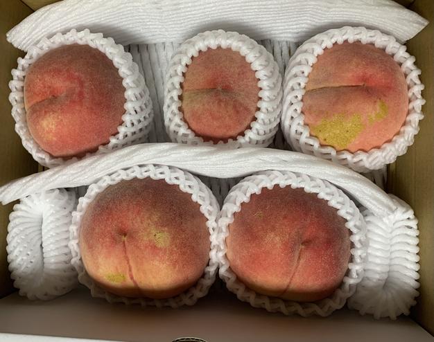 キズありお得品】有名品種「川中島白桃」2㎏（5～8玉）原産地・長野
