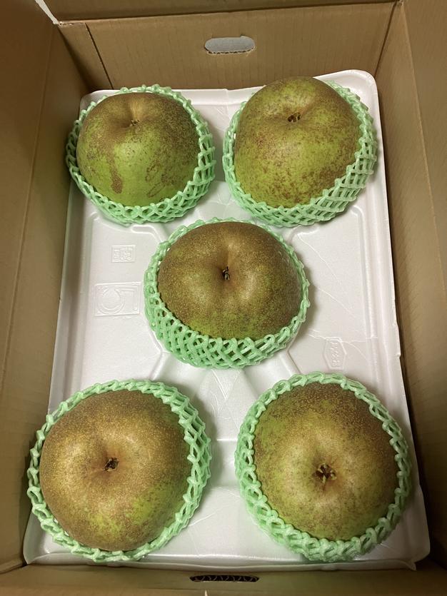 二箱　かおり　梨　バラ詰め　家庭用　産地直送 二箱 かおり 梨 バラ詰め 家庭用 産地直送