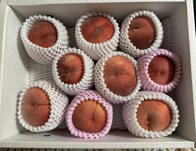ヤマモモ 1kg クール便 送料込み 特大 即日発送 楽天市場】ヤマモモ（フルーツ・果物｜食品）の通販