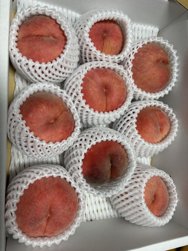 ヤマモモ 2kg クール便 送料込み 特大 中小ぶり混じり ヤマモモ 2kg クール便 送料込み 特大 中