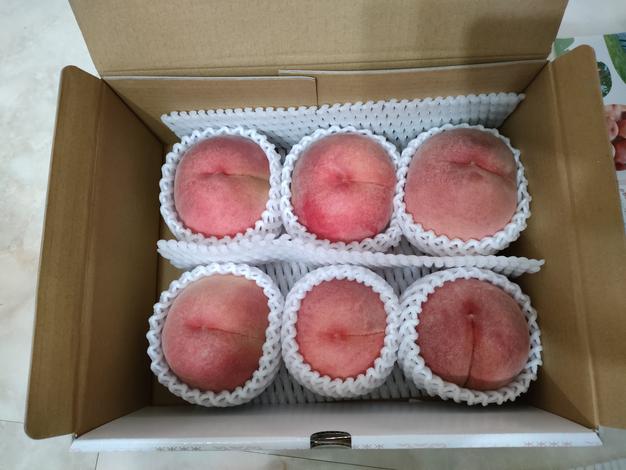キズありお得品】有名品種「川中島白桃」2㎏（5～8玉）原産地