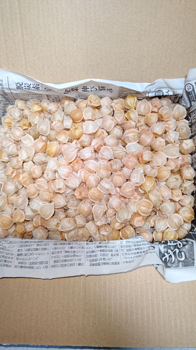 大玉3 玉北海道産青肉メロン(キングメルティ) +赤肉1.4kg超✖︎2玉セットc 楽天市場】お買い物マラソン期間 P+5倍 ＼7月中旬出荷予定