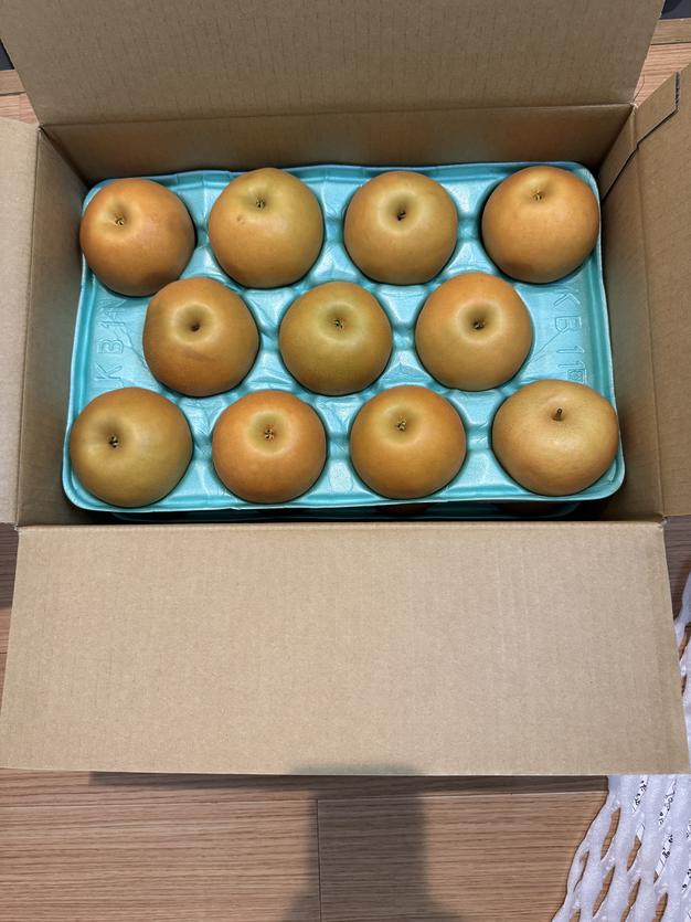 梨 南水 良品 約10kg 大好評 長野県産 | 果物/梨 産直アウル