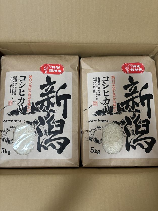 新米 甘くて美味しい！ 新潟県産コシヒカリ 減農薬の特別栽培米