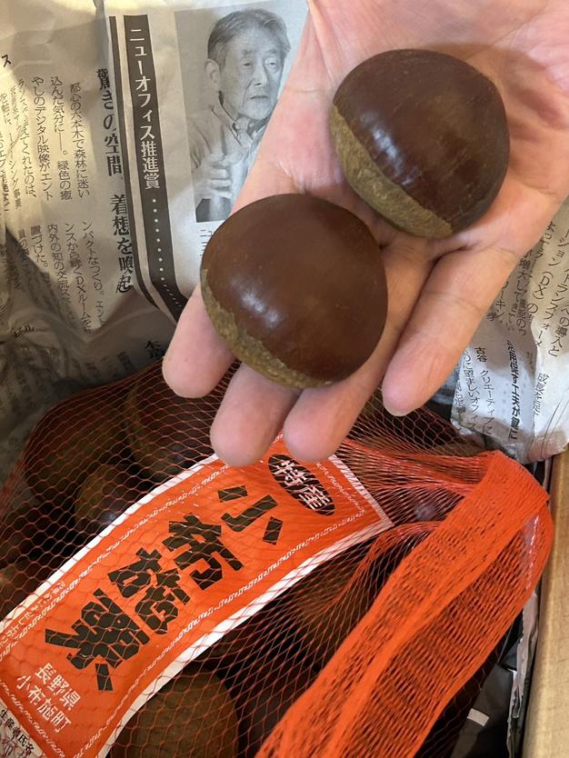 信州 小布施栗 早生栗 3L玉×1キロ | 果物/栗 産直アウル 農家から直接