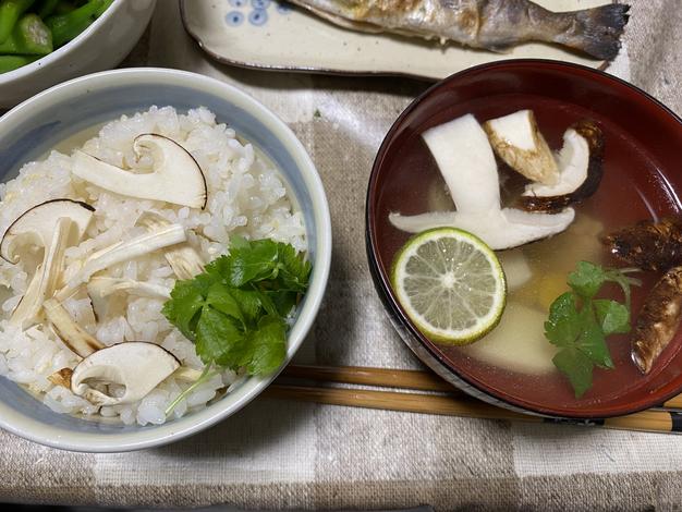 ★おいしい野菜研究室 【秋田県産】 天然ふきのとう 50パック Amazon.co.jp: 山菜 秋田県産 みず水煮2袋 ※皮むき済み 天然野菜