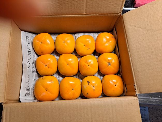 富有柿 ご家庭用 訳あり 5キロ | 果物/柿 産直アウル 農家から