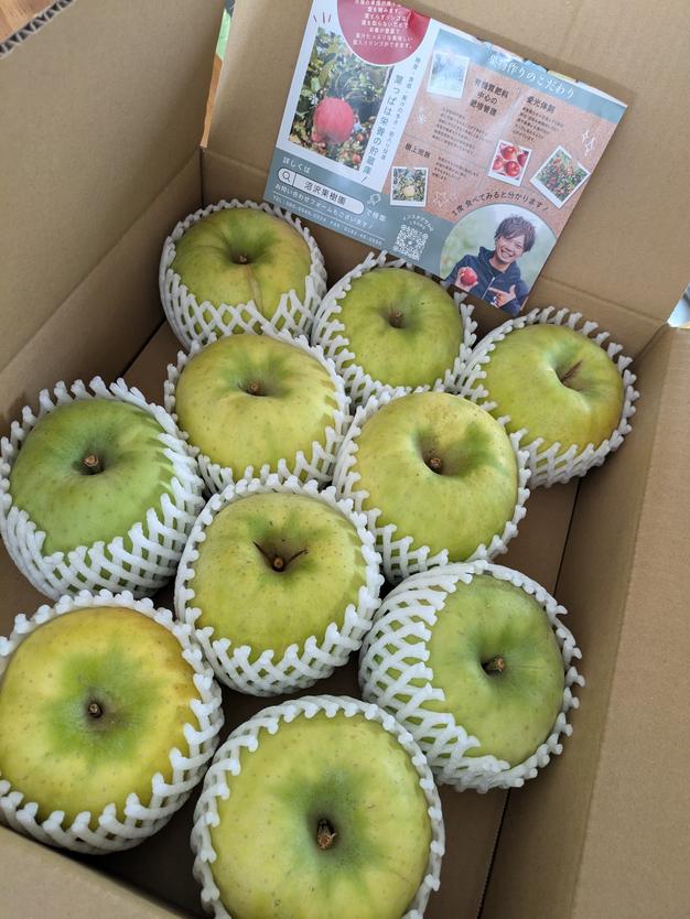 蜜入りもあり 青林 大玉 ご家庭用リンゴ約5キロ | 果物/りんご 産直