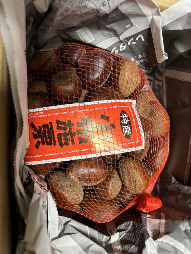 信州 小布施栗 L玉 1.1キロ10%増量 銀寄/筑波等（中生品種） ｜ 果物