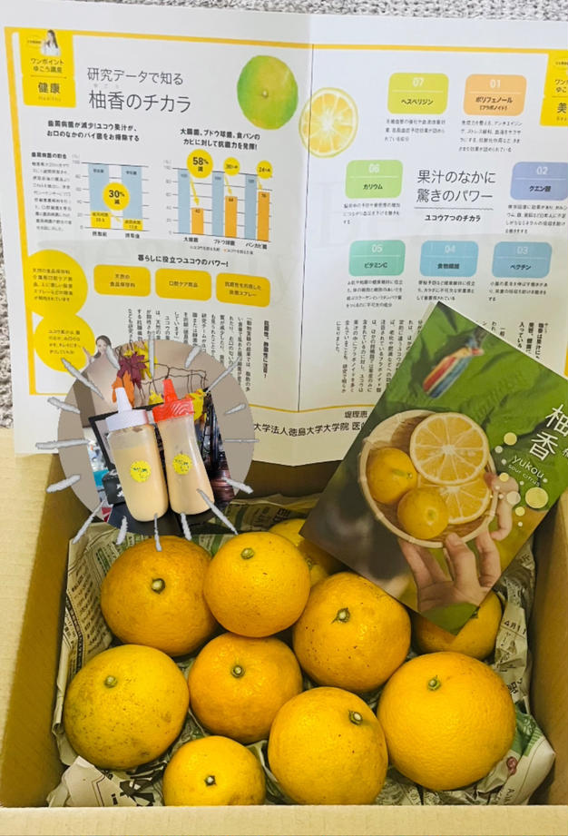 厳選 いちょうの葉 銀杏の葉 20枚×5パック（7cm〜10cm） | 花