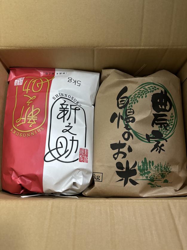 令和6年産コシヒカリ、新之助 食べ比べセット | 米・穀物/米