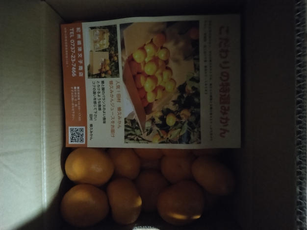 3Lサイズ 有田みかん ｜ 果物/温州みかん 産直アウル 農家・漁師など