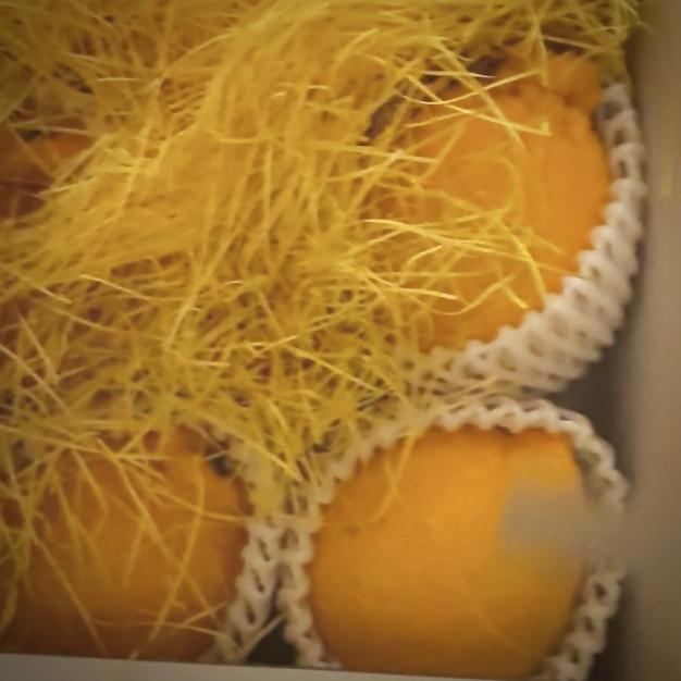熊本県産 JAデコポン 約2㎏ 秀品 【002】ギフト 贈り物 フルーツ