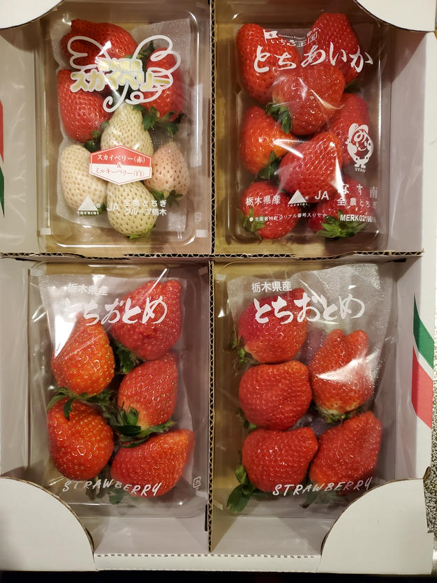 4種類の完熟いちごの食べ比べ ｜ 果物/いちご 産直アウル 農家・漁師