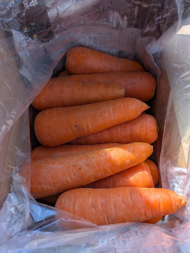 甘～い！雪下にんじん 5kg | 野菜/人参 産直アウル 農家から直接野菜