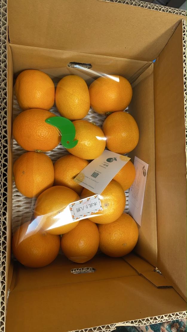 150愛媛県産 不知火 デコポン 家庭用 14㎏ 150愛媛県産 不知火 デコポン 家庭用 14㎏（先行予約】【訳あり