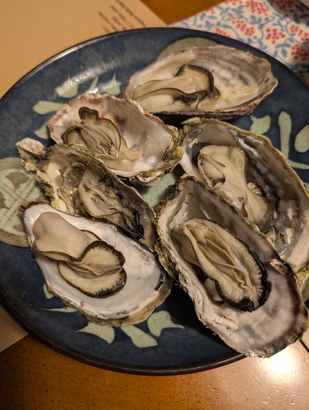 10％OFF中】生食用 殻付き 牡蠣 2kg（14~35粒）2キロ 牡蠣