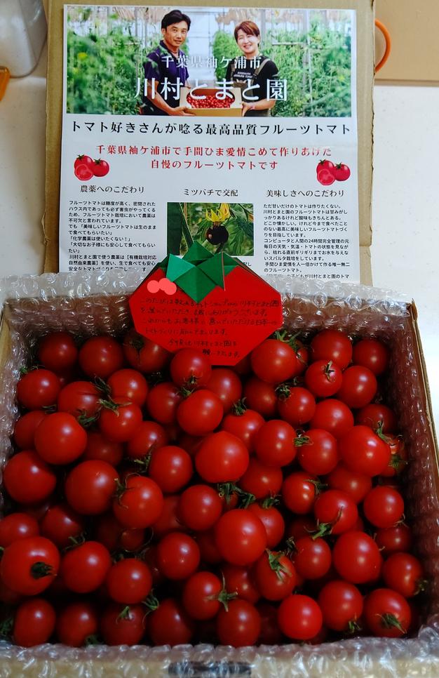 5つ星＆3つ星フルーツトマト食べくらべセット（600g×2