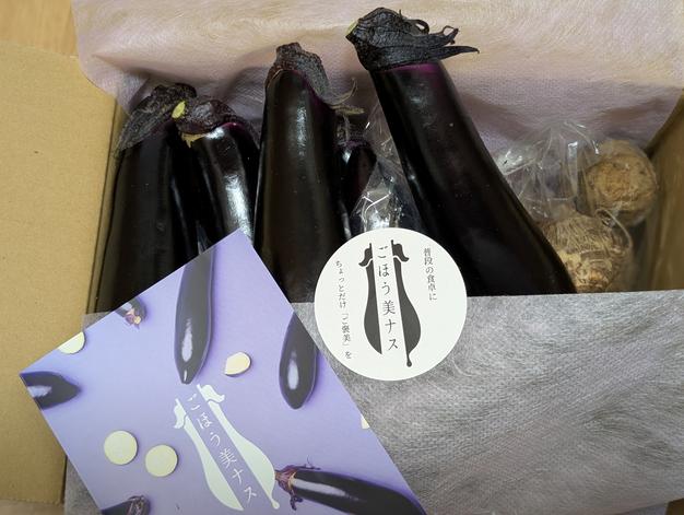 野菜ソムリエサミット『金賞』受賞！！】ごほう美ナス （約1kg、ナス8