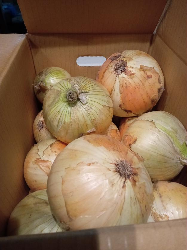 あま〜くて美味しい淡路島産完熟玉ねぎ少し訳あり品20kg 淡路島産 たまねぎ 訳あり20kg【飲食店向け】玉葱タマネギ