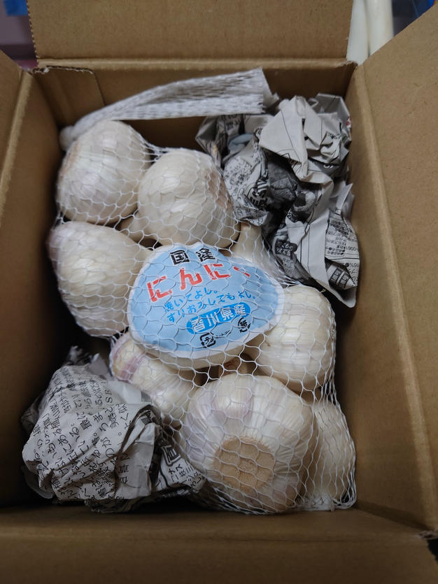 香川県産生ニンニク【1.1キロ】 | 野菜/にんにく 産直アウル 農家から