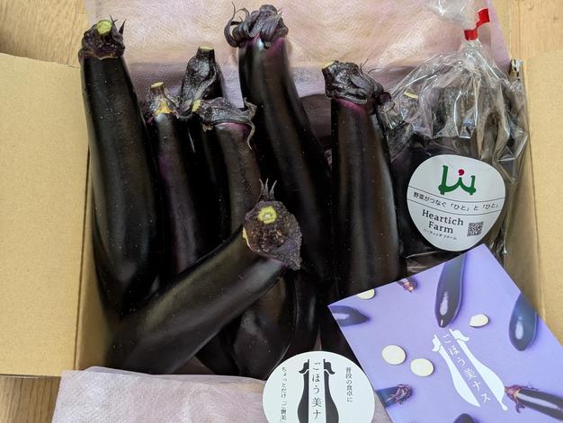 野菜ソムリエサミット『金賞』受賞！！】ごほう美ナス （約1kg、ナス8
