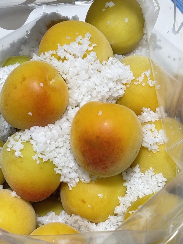 南高梅　無農薬　青黄～黄熟　５キロ　送料込み 楽天市場】【予約受付中】 青梅 南高梅 無農薬 5kg 有機肥料 訳