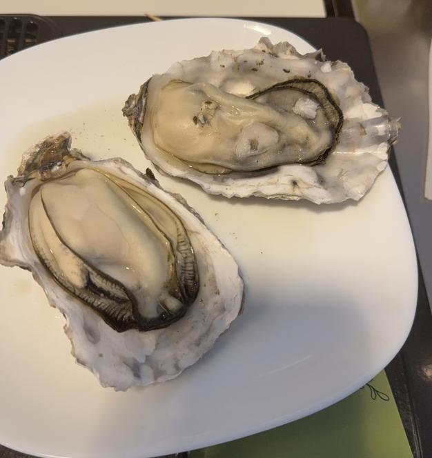 【休業日はプロフ参照】生牡蠣「生食用 殻付き 牡蠣 ８ｋｇ」生食用（56~140粒）牡蠣 殻付き 牡蛎 牡蠣 殻付 牡蠣 宮城県産 カキ 魚介類 魚介 ＢＢＱ 休業日はプロフ参照】生牡蠣「生食用 殻付き 牡蠣 8kg」生