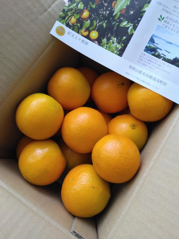 サイズおまかせカラマンダリン3キロ | 果物/オレンジ・その他みかん