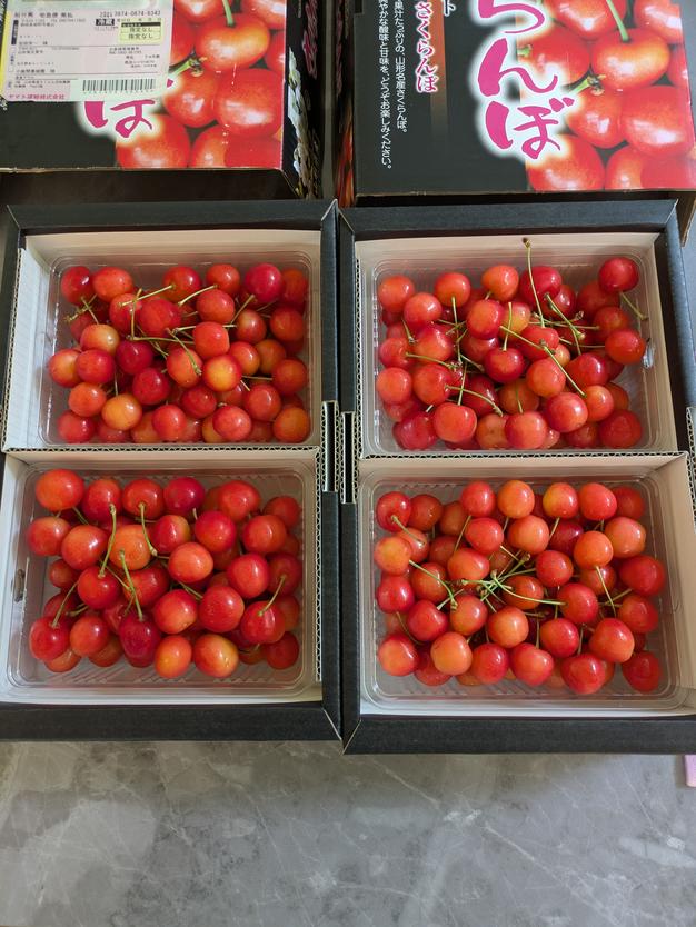 ついに登場‼新大玉品種【やまがた紅王】 | 果物/さくらんぼ 産直